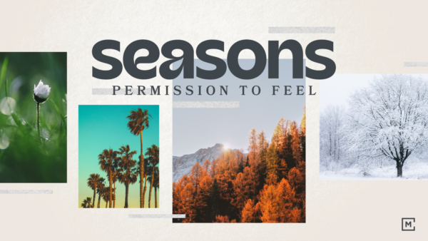 Menlo Seasons Series Title Slide